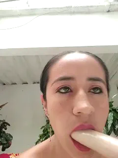 ninfa-88