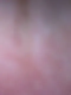 originalhooli