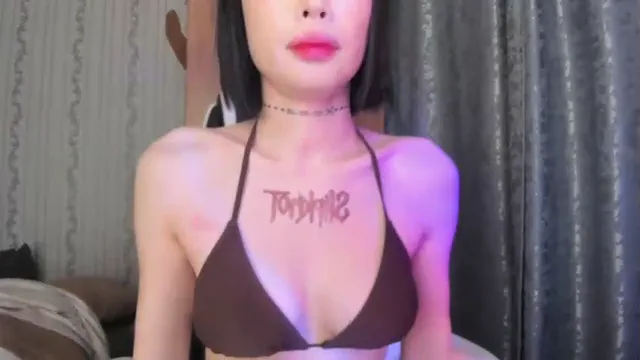 pakkminni