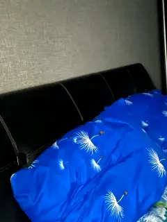 paniserca