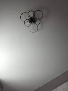 paniserca