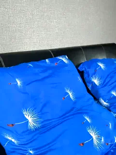 paniserca