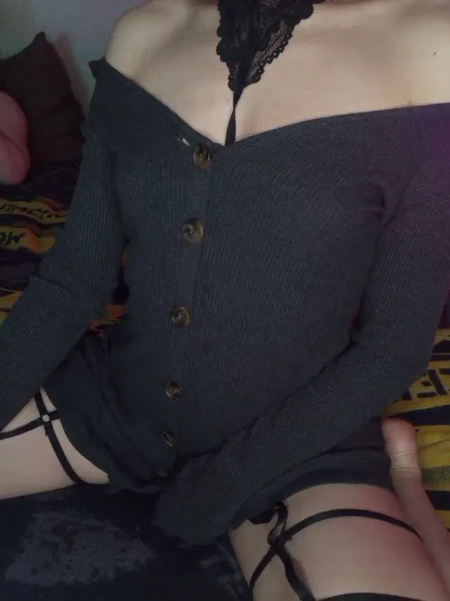 plohishi2