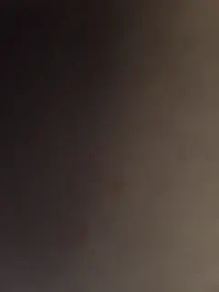 plohishi2