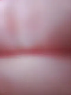 plohishi2