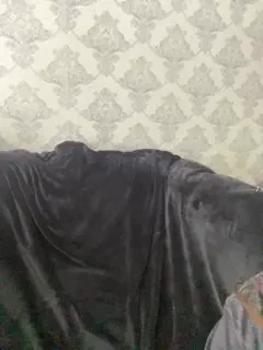 praesertim