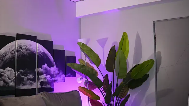 raquellevon
