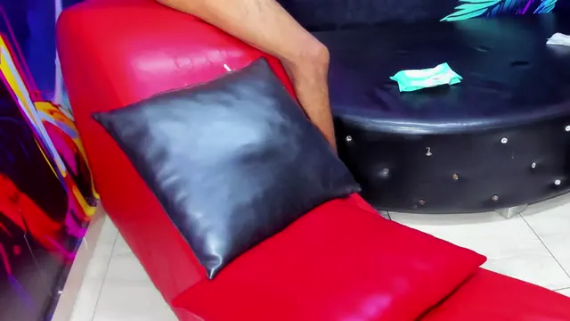 room-kitty