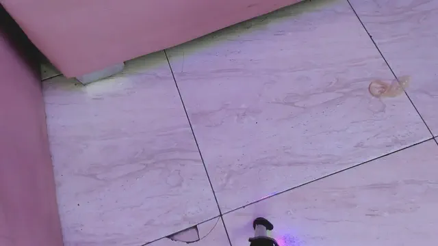 room-kitty