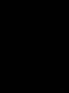 sallyeleins