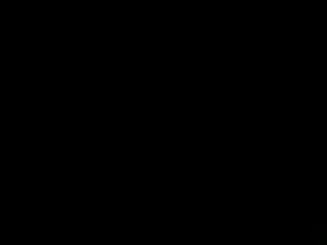 sallyeleins
