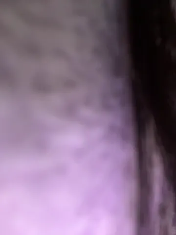 taanni
