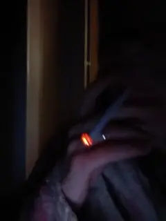 totodasha