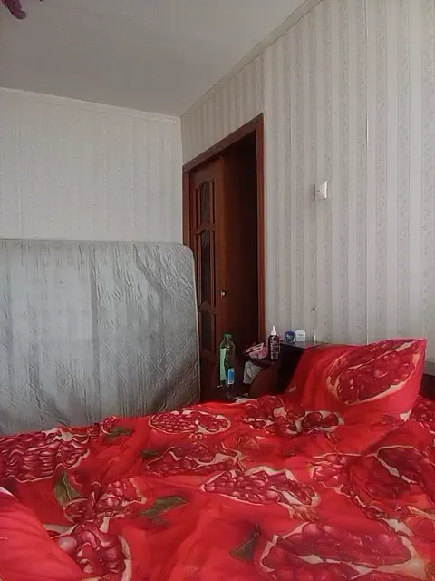 totodasha