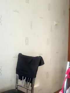 totodasha