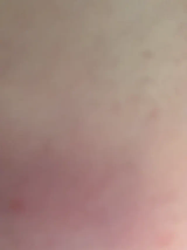 vacilonlime