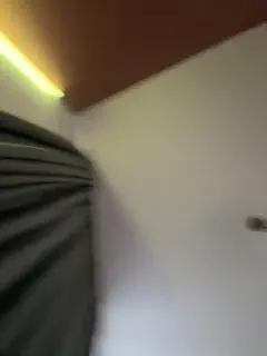 vagnermur