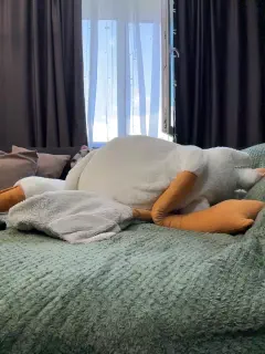 vero19nika