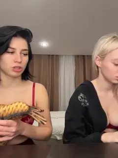 vibromashulkadashulka