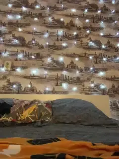 vikulya1