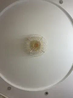 vikusha