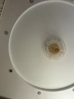 vikusha