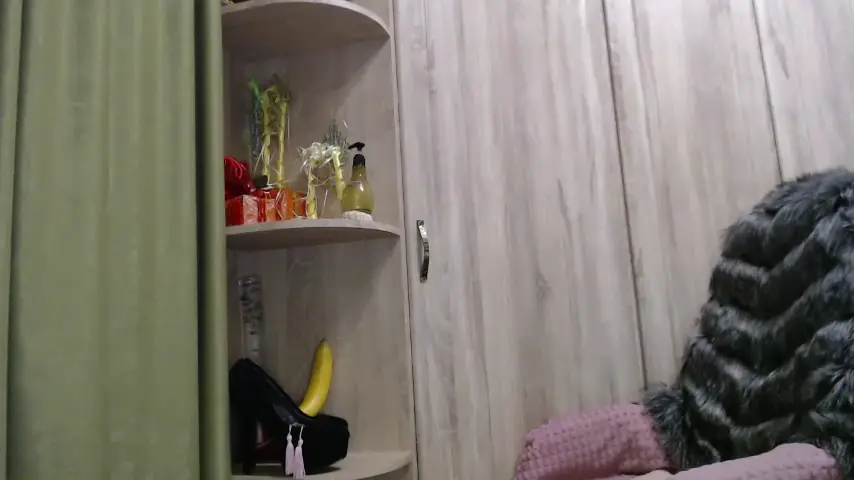 vilenika