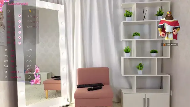 violladream