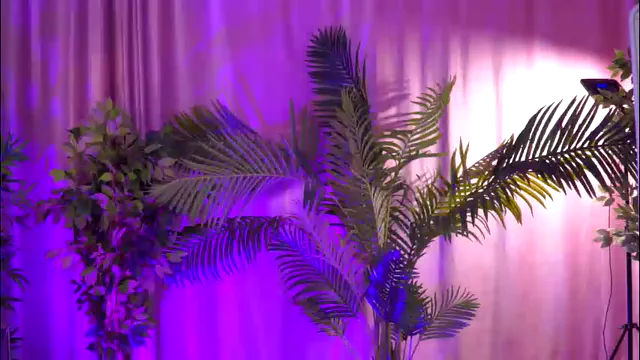 aishaadevoe
