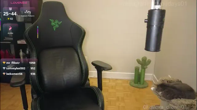alexa_dream