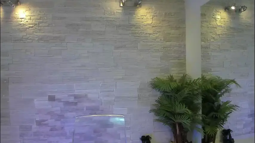 angelinsin