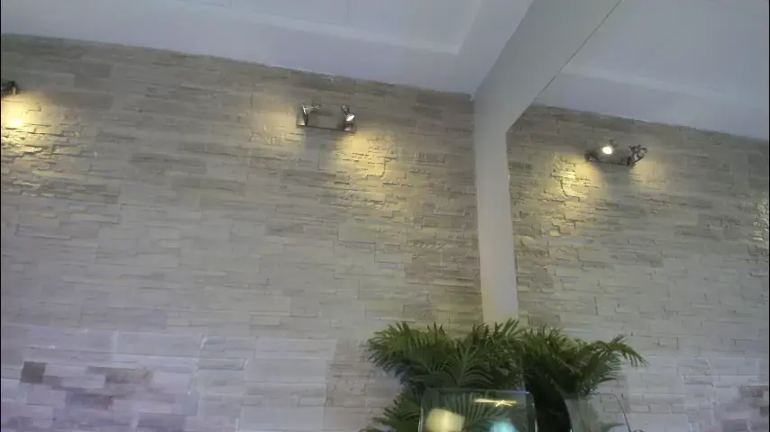 angelinsin