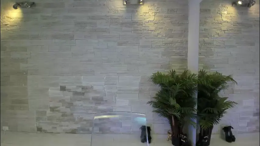 angelinsin