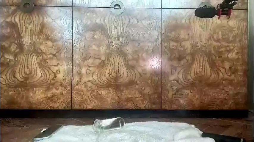 avalonnfoxx