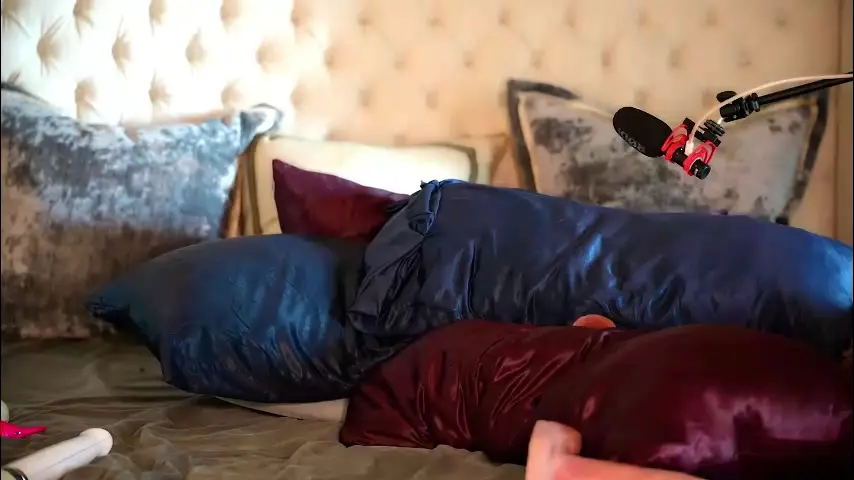 avalonnfoxx