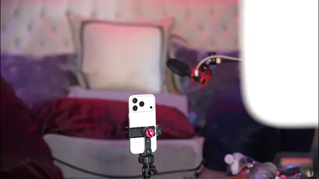 avalonnfoxx