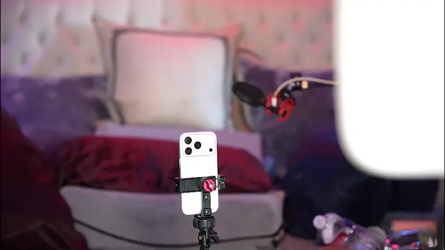 avalonnfoxx
