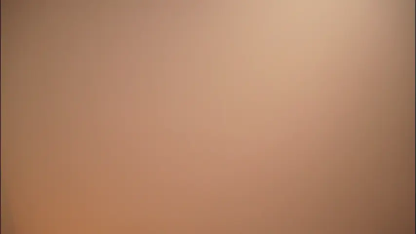 bella_adams_