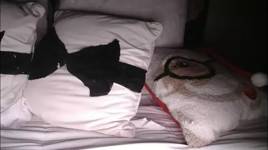 bigdicktrannynicole