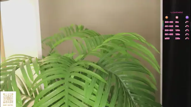 cirilada