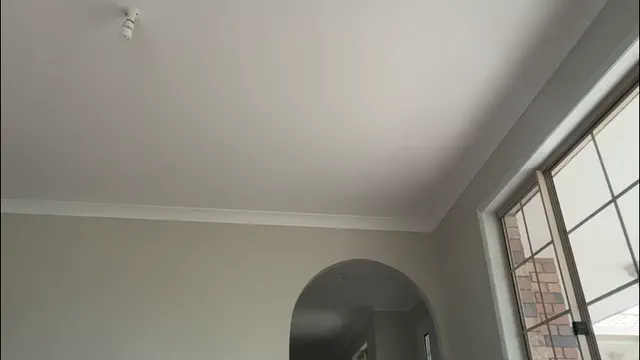 daisyfayer