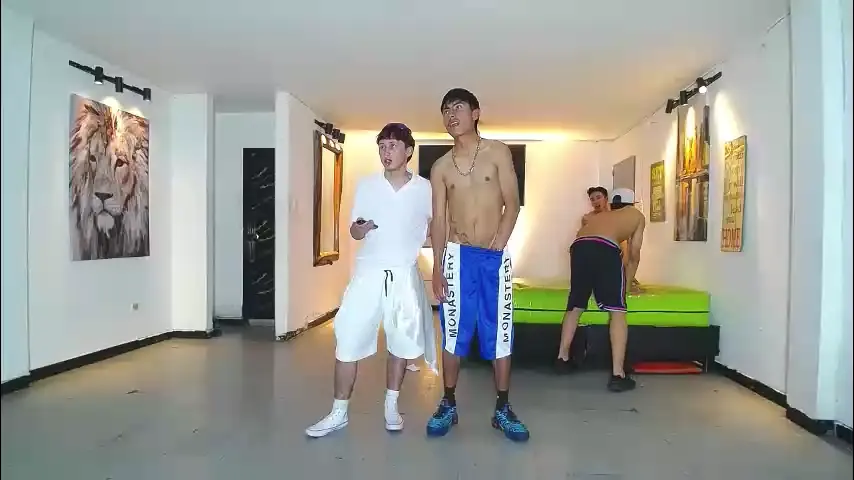 gnecos