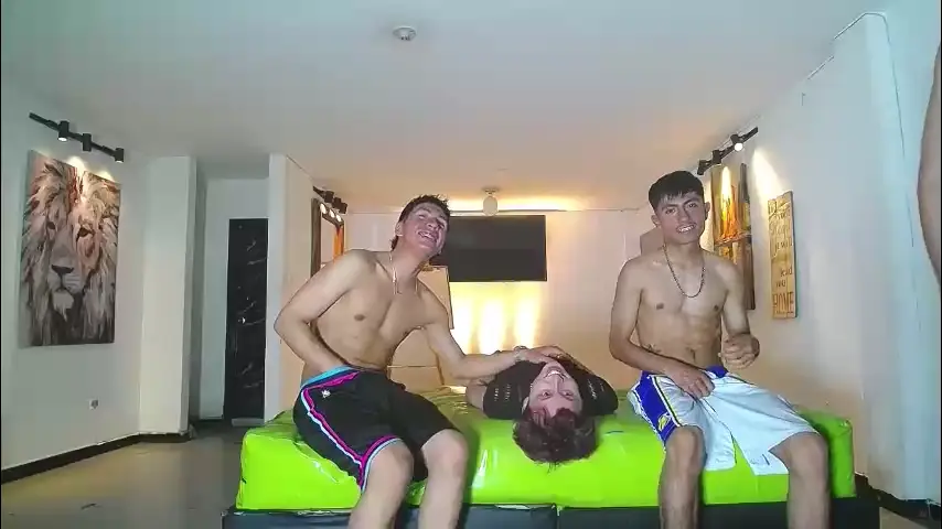 gnecos