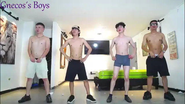 gnecos