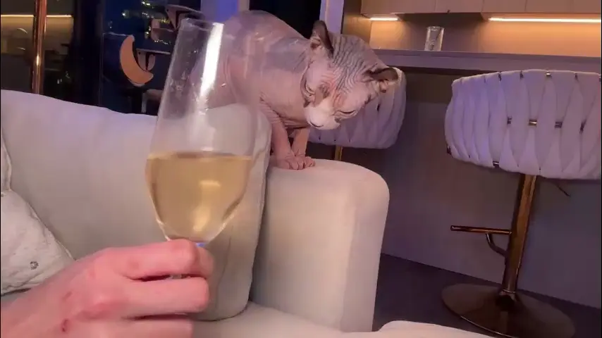 graciemae_baexx