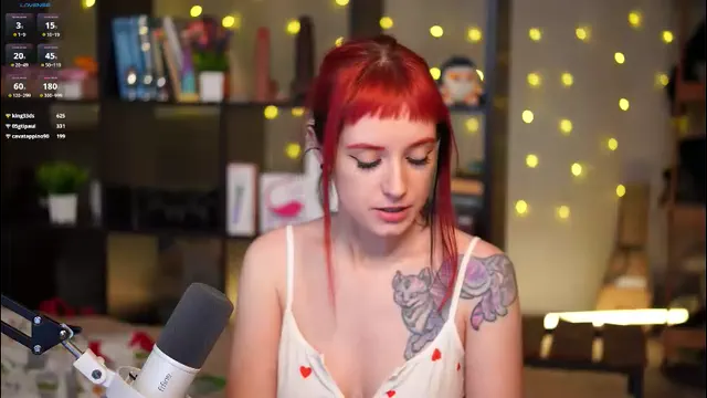 harleyspy