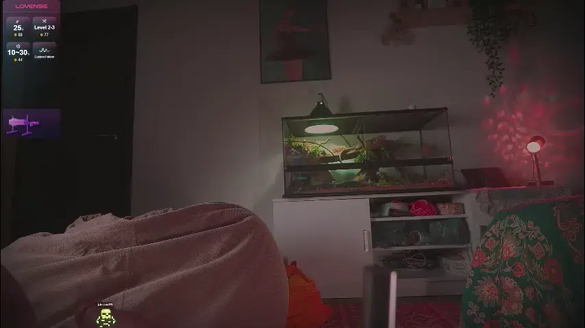 iara_mi