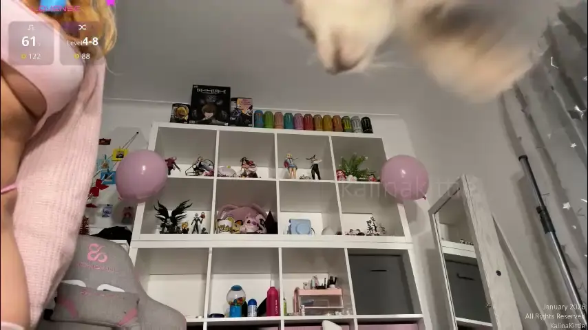 kalina_kittie