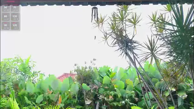 katie_dierse