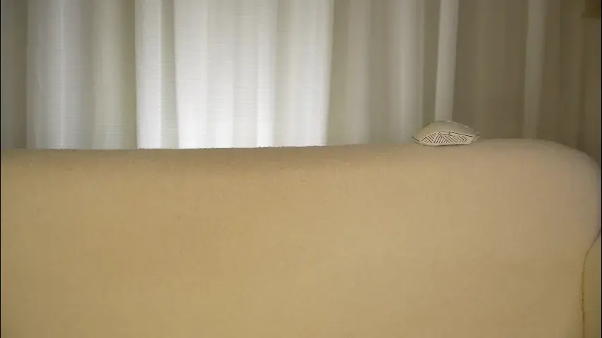kimberly_bohnes